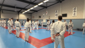 Jiujitsu dan-training